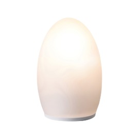 [NEOZ] Egg